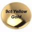 9ct Yellow Gold